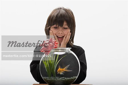 Garçon regardant Fishbowl