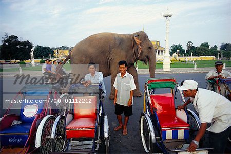 Bicycle Taxi Drivers, Elephant Walking Past in the Background, Phnom Penn, Cambodia