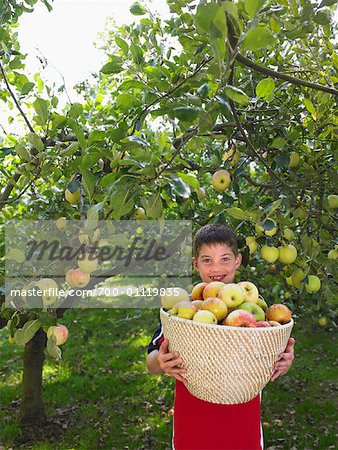 Garçon transportant panier de pommes