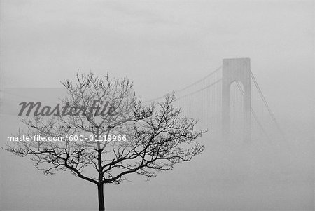 Fog Over Verrazano Narrows Bridge, Brooklyn, New York City, New York, États-Unis