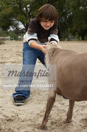 Garçon jouant souque à la corde avec le chien sur la plage