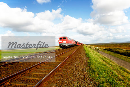 Train, Sylt, Germany