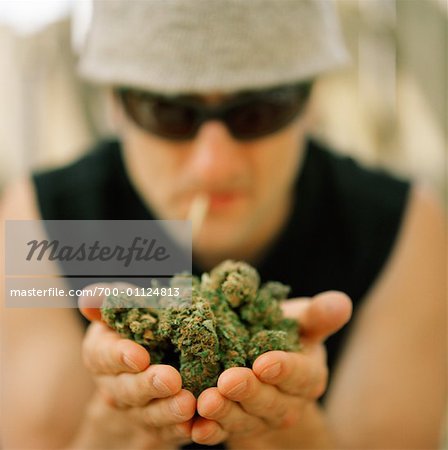 Homme tenant la Marijuana