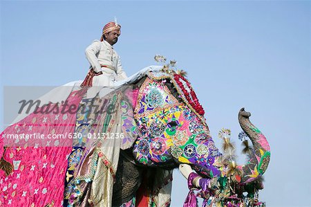 Flachwinkelansicht eines Reifen Mannes Reiten ein Elefant, Elephant Festival, Jaipur, Rajasthan, Indien