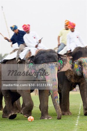 Two people playing polo, Elephant Festival, Jaipur, Rajasthan, India