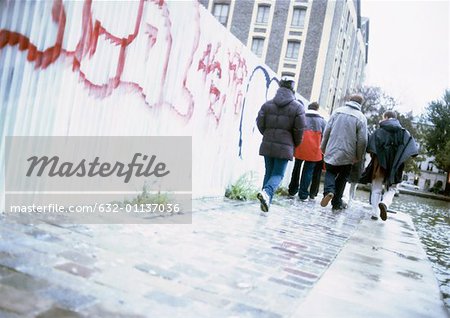 Group of young people walking in street, rear view