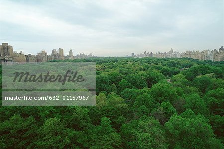 New York, Manhattan, Central Park, treetop view