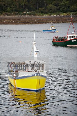 Fischerboote im Hafen, Schottland