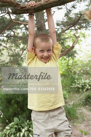 Boy Hanging off Tree Branch
