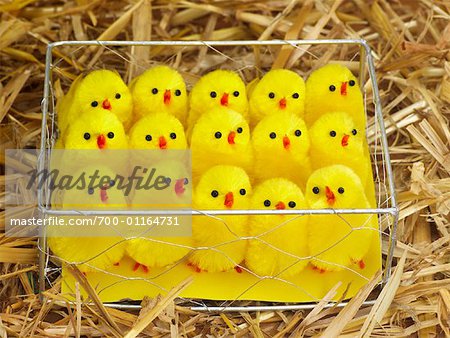 Toy Chicks in Cage