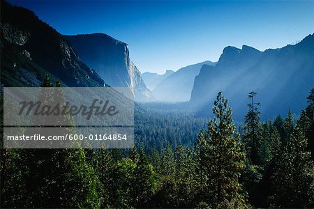 Parc National de Yosemite, Californie, USA