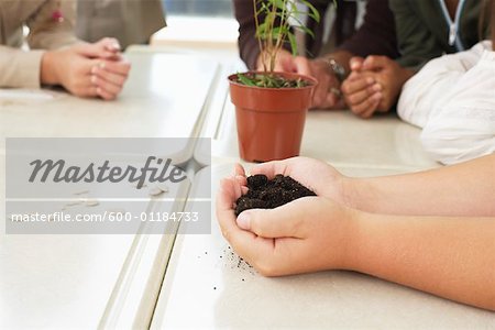 Students with Plant in Classroom