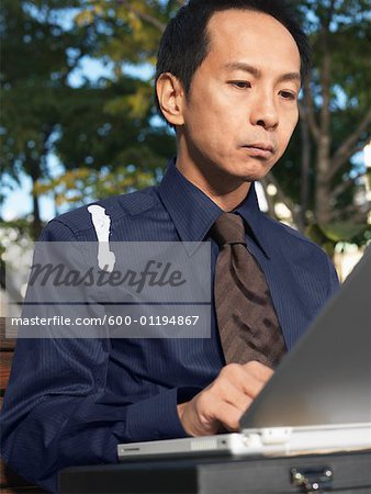 Man on Park Bench Using Laptop Computer