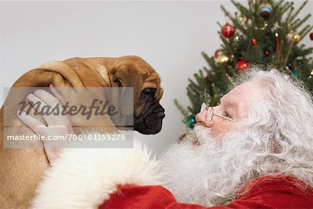 Santa Claus with Puppy