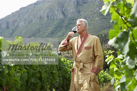 Portrait of Man in Vineyard