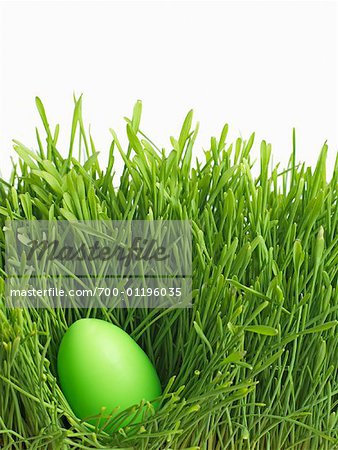 Oeuf de Pâques vert dans l'herbe