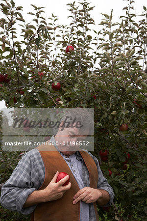 Apple Farmer Picking Apple