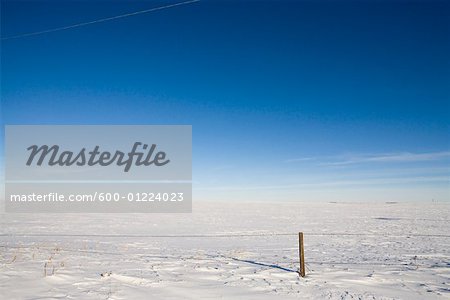 Schneebedeckten Feld