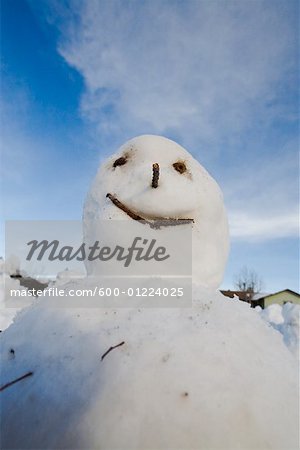 Portrait of Snowman