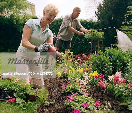 Mature Couple Gardening