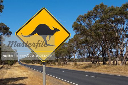 Känguru Schild, Victoria, Australien