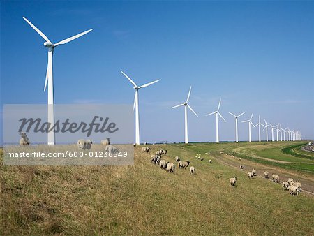 Parc éolien, Flevoland, Pays-Bas