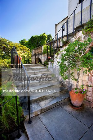 Étapes de Rose Hall, Montego Bay, Jamaïque