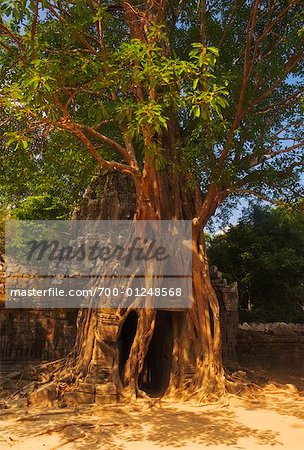 Ta Som Temple, Siem Reap, Cambodia