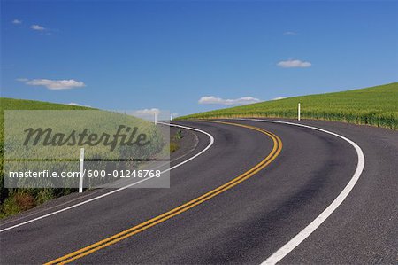 Road and Fields near Colfax, Palouse Region, Whitman County, Washington, USA