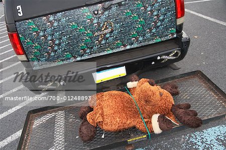 Stuffed Moose on Back of Truck