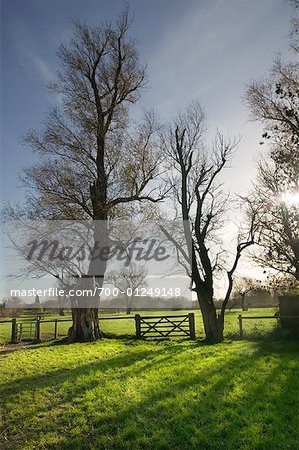 Grantchester, Cambridge, England