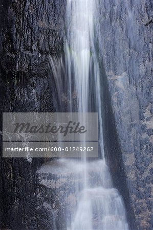 Waterfall at Mount Rainier National Park, Washington State, USA
