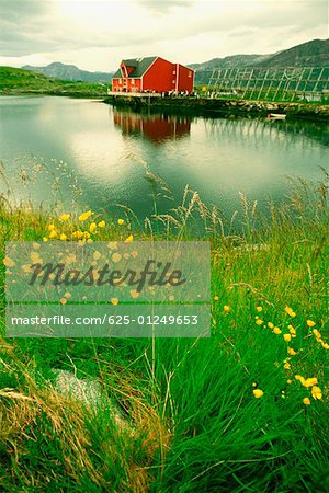 Fischfarm auf einer Insel, Lachs, Norwegen