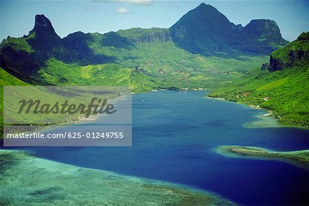 Vue grand angle d'une baie, la baie de Cooks, îles de la société, Moorea, Polynésie française