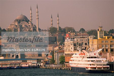 Cruise ship docked at the harbor with a mosque in the background, Suleymanie Mosque, Golden Horn, Istanbul, Turkey