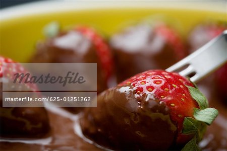 Gros plan d'une fourche avec Chocolat fraises couvertes