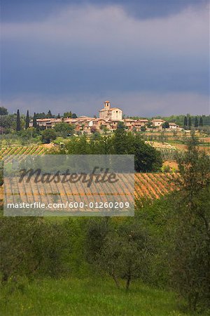 Monaciano, Tuscany, Italy