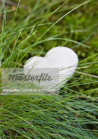 Heart-shaped stone in grass