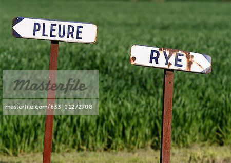 Road signs for two French towns, Pleure and Rye