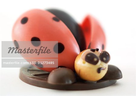 Chocolate ladybug