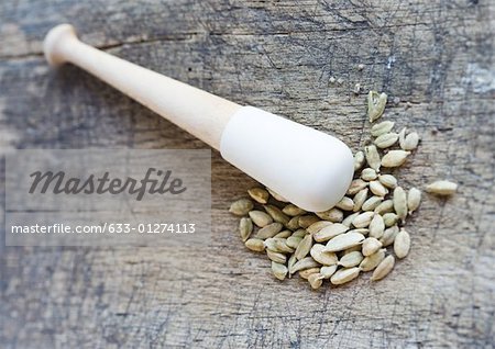 Cardamom seeds and pestle