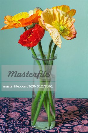 Poppies in a vase