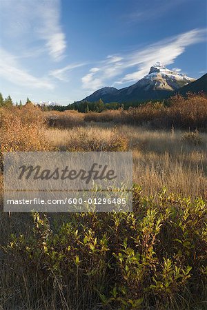 Mountains, Field and Forest, Bow Valley, Banff National Park, Canada