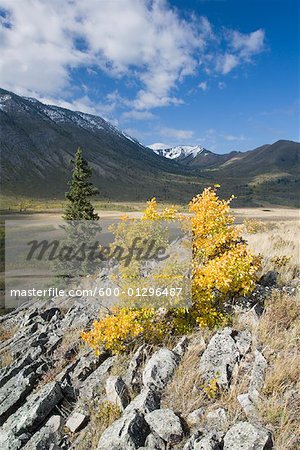 Livingston Range, Parc Provincial de Bob Creek Wildland, Rocky montagnes, Alberta, Canada