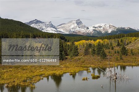 Overview of Beaver Pond and Mountains, Kananaskis Country, Alberta, Canada