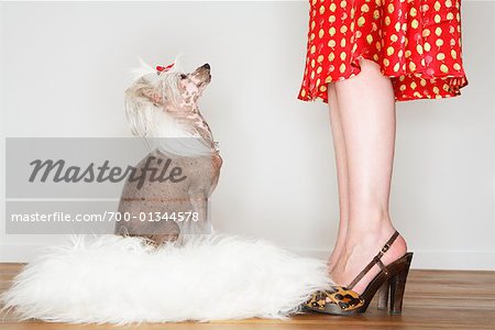 Dog Looking Up at Woman