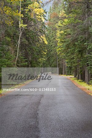 Road in Autumn, Banff National Park, Alberta, Canada