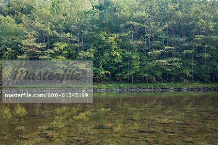 Cairns Pool, Beaverkill River, Catskill Park, New York, USA