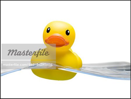 Gummi-Ente