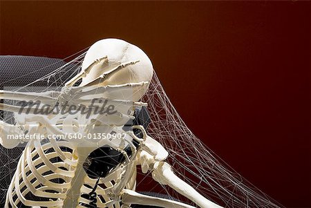Skeleton sitting at desk talking on telephone with webs